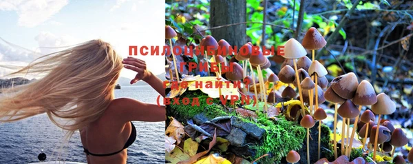 твердый Беломорск