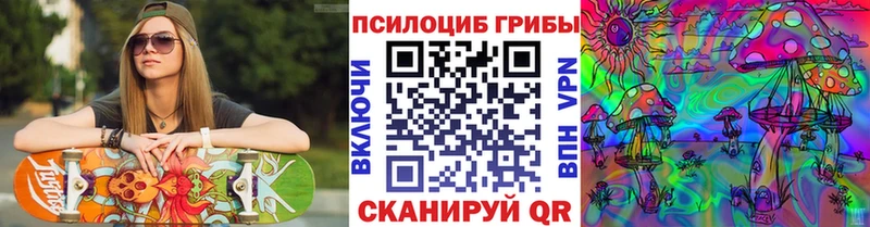 площадка наркотические препараты Малаховка Галлюциногенные грибы Magic Shrooms закладки