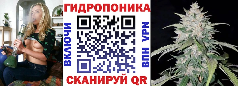 Конопля конопля  купить  сайты  Малаховка 